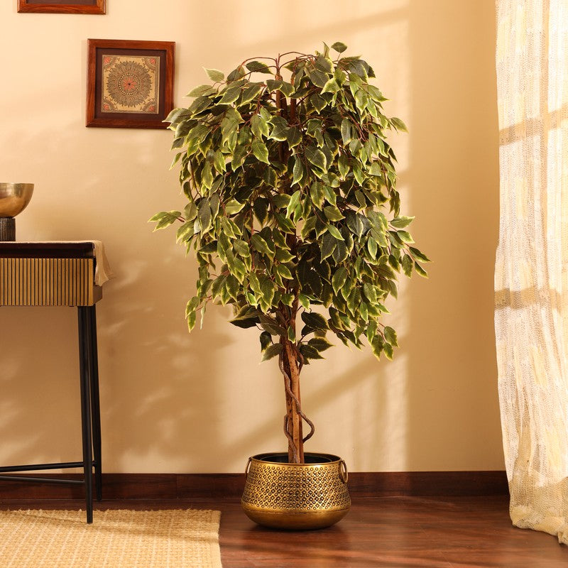 Artificial Variegated Ficus Plant With Black Plastic Pot - 5 ft