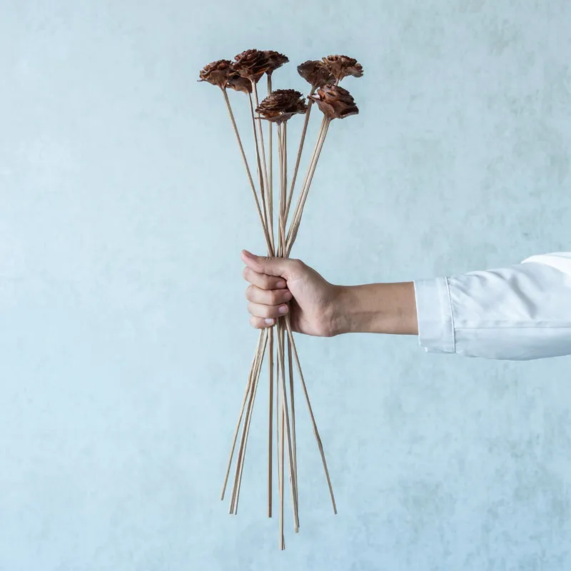 Oley Cedar Wood Rose Stick (Brown)- Set Of Ten media 1