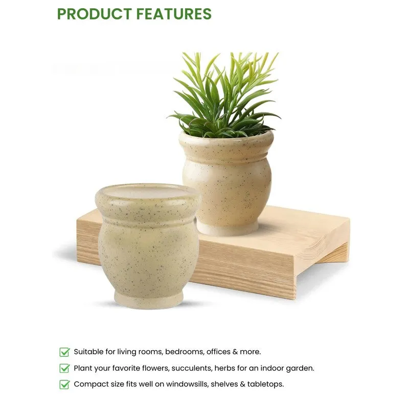 GoldenSprout Planters - Set Of Two media 7