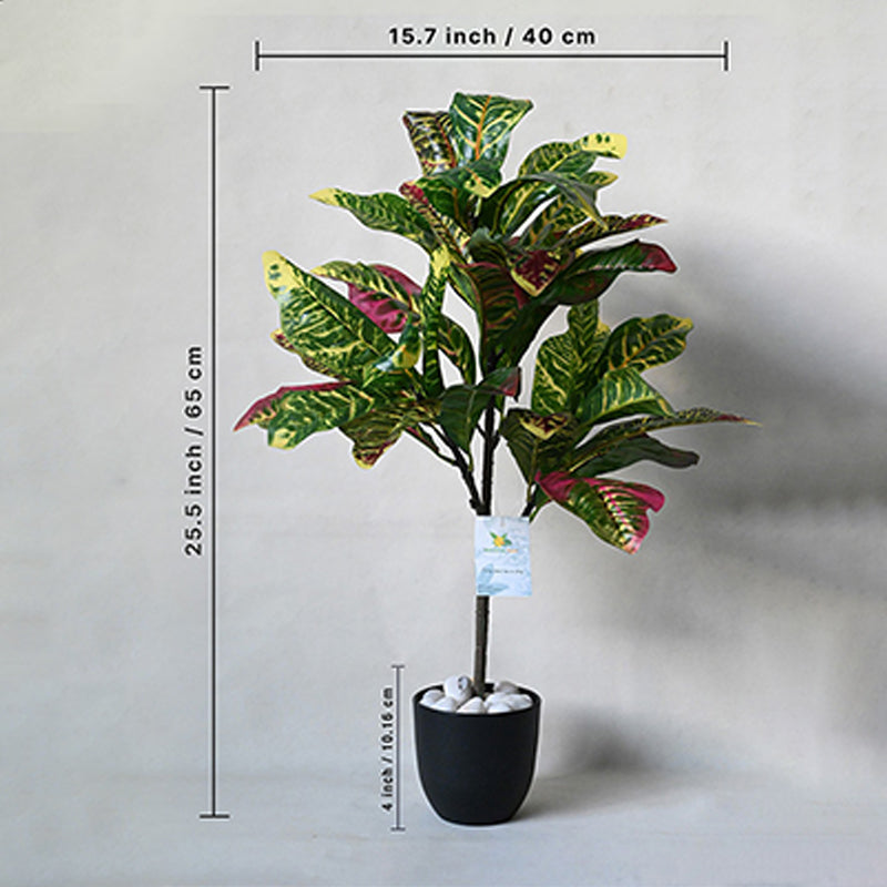 Faux Everlasting Garden Croton Plant With Black Plastic Pot - 74 cm (2.4 ft) media 5