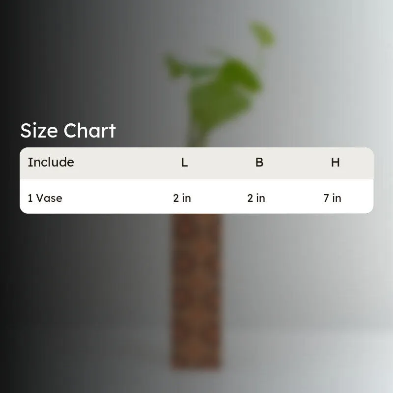 Moja Cork Testube Planter media 4