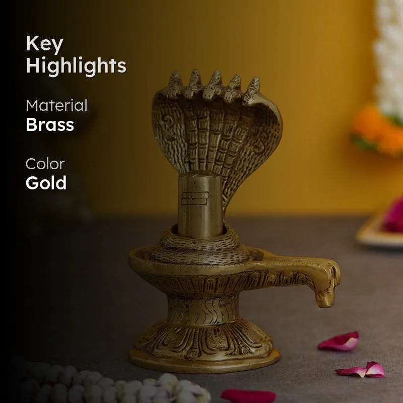 Shivling With Naag Devata Idol media 2