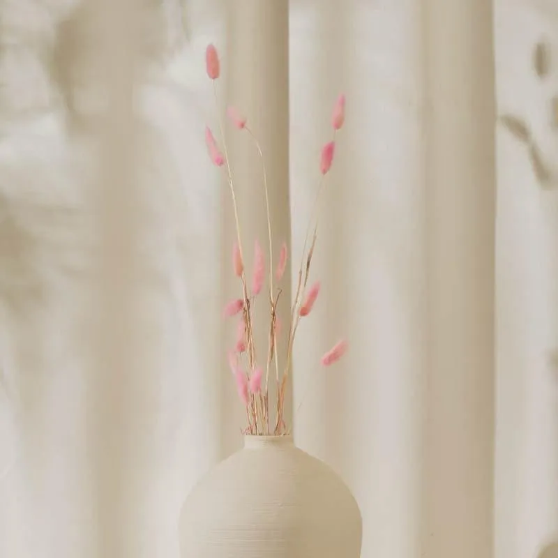 Bunny Tail Ornamental Grass (60 cms) - Pink media 1