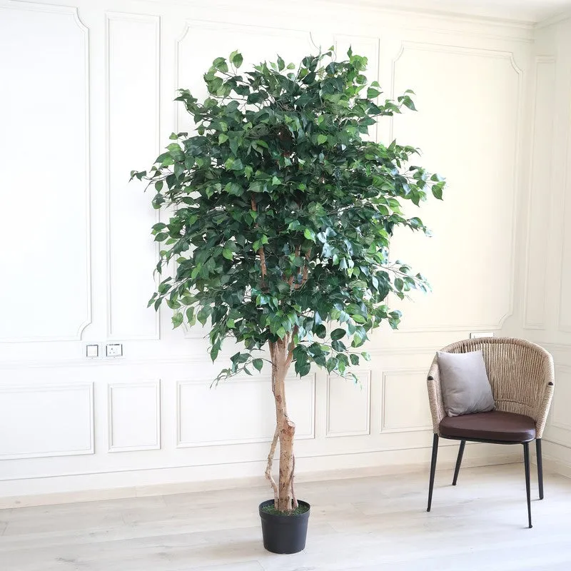 Verdant Calm Artificial Plant With Black Plastic Pot - 7.4 ft media 4