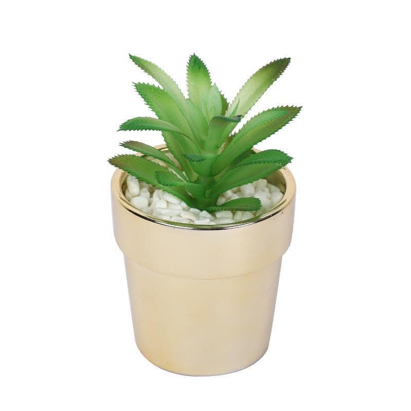 Faux Crassula In Ceramic Pot - 13.5 cms media 3
