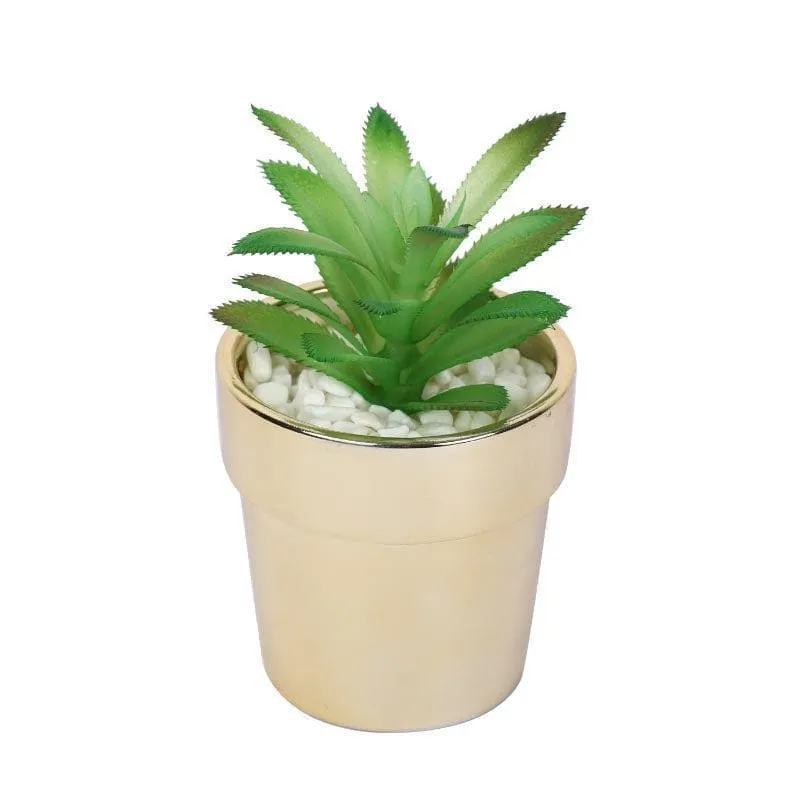 Faux Crassula In Ceramic Pot - 13.5 cms media 3