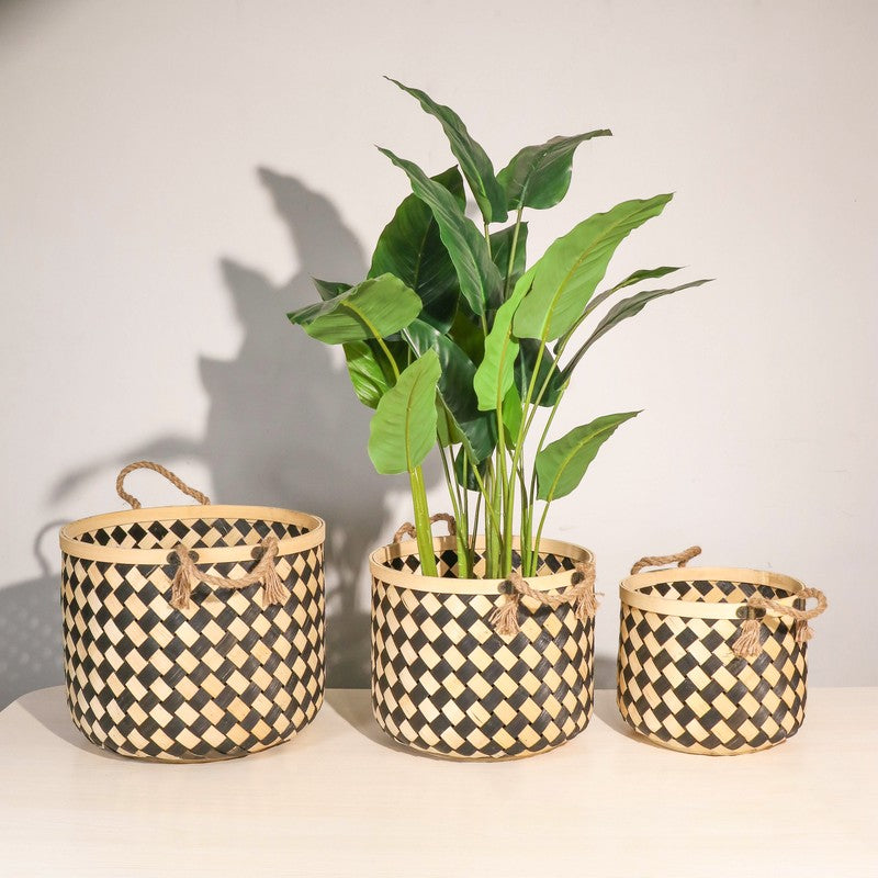 Florenza Bamboo Planters - Set Of Three media 3