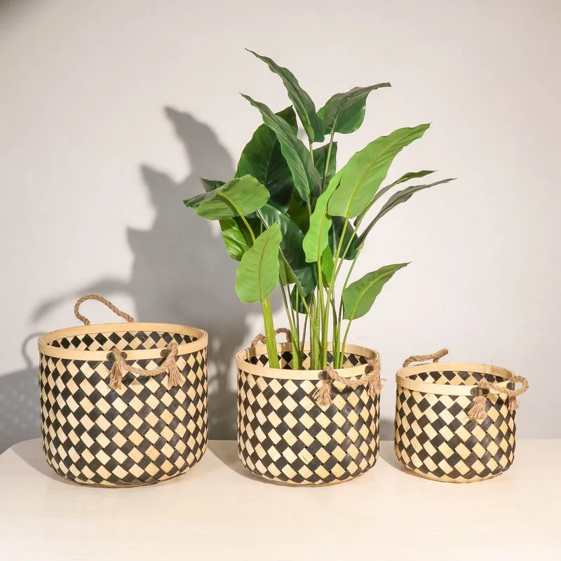 Three black and natural bamboo planters displayed with a leafy green plant indoors.