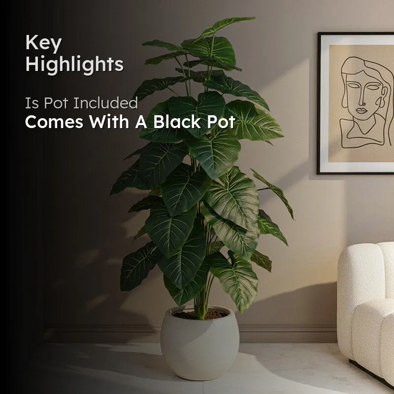 Verdiq Artificial Alocasia With Black Plastic Pot - 4 Feet media 2