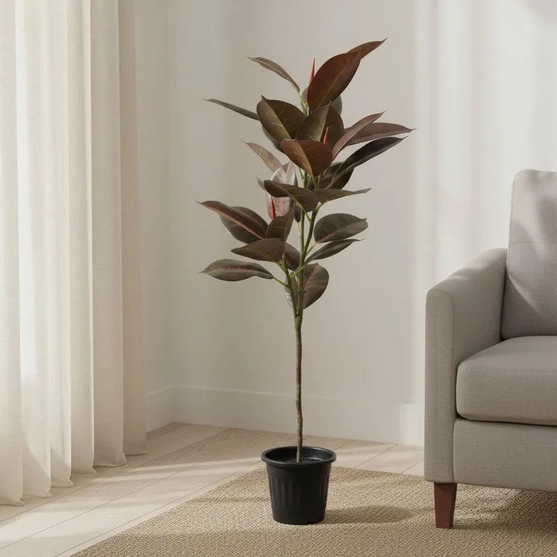 CozyFlora Artificial Rubber Plant With Black Plastic Pot - 2.5 Feet media 3