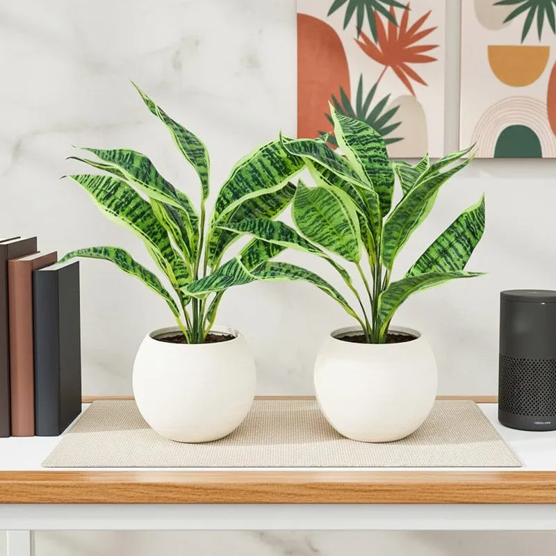 Faux Snake Plant With Black Plastic Pot (50 cms) - Set Of Two media 1