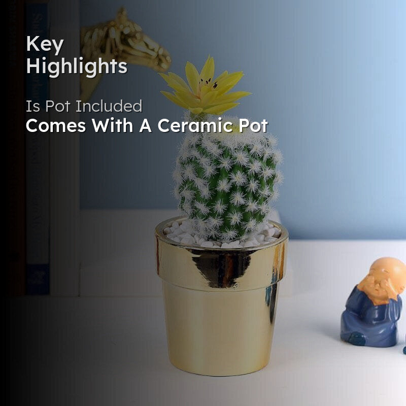 Faux Large Cacti In Ceramic Pot - 14 cms media 2
