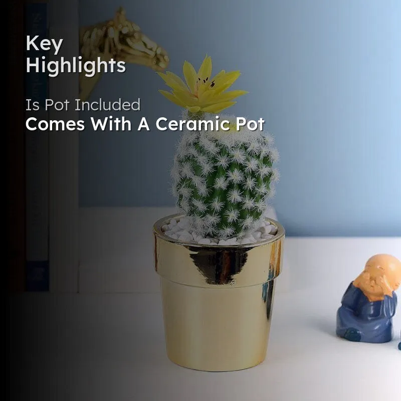 Faux Large Cacti In Ceramic Pot - 14 cms media 2