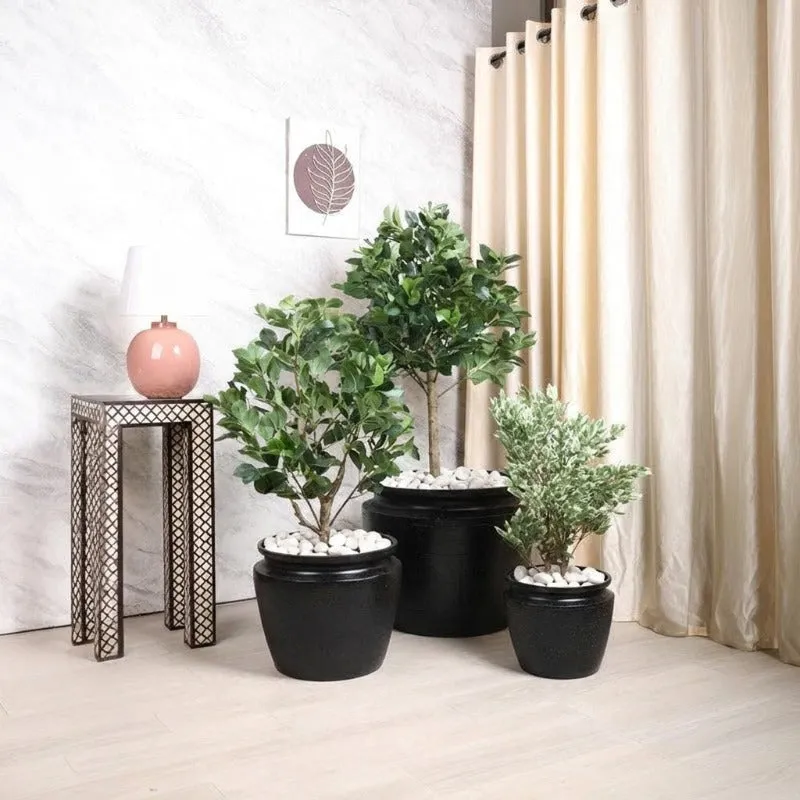 Three black planters in different sizes arranged with indoor plants
