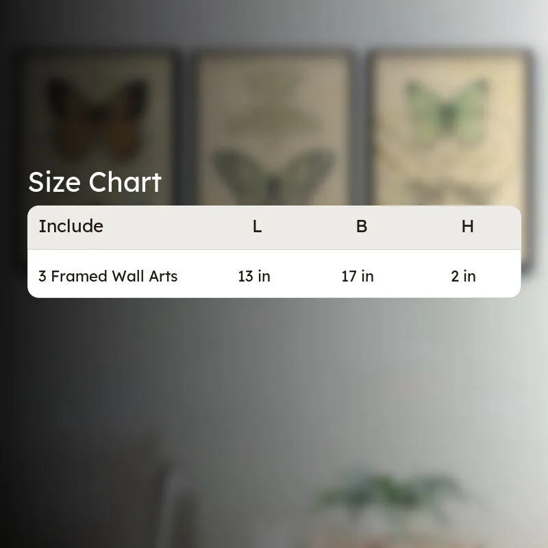 Flutter Frame Wall Painting - Set Of Three media 5