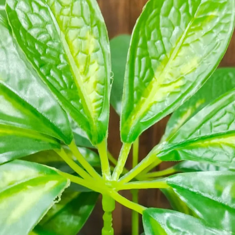 LeafMuse Schefflera Artificial Plant Without Pot - 2.3 Feet media 5