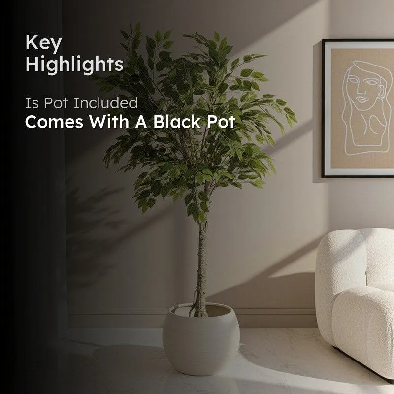 Faux Ficus Plant With Black Plastic Pot - 5.91 ft media 2