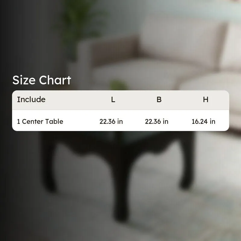 Rervon Sheesham Wooden Center Table - Black media 8
