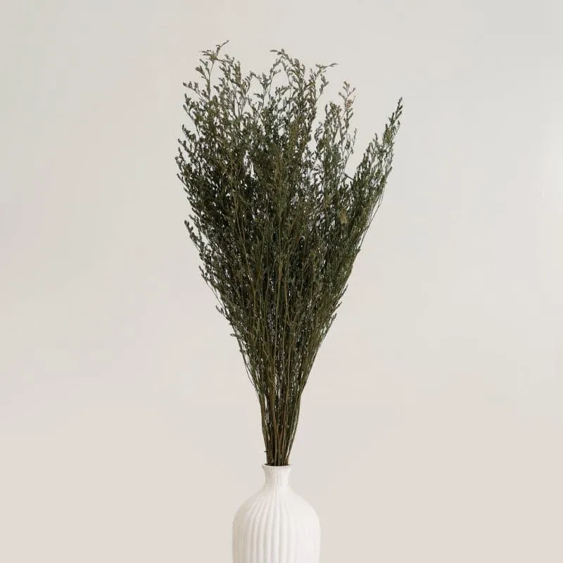Luzi Lavender Dried Limonium Grass Bunch - Green media 1