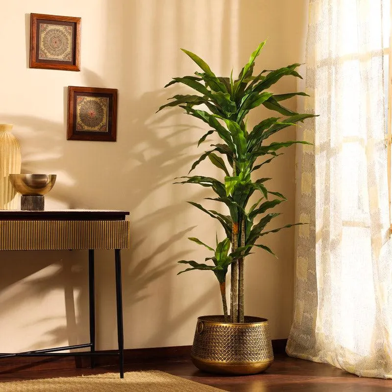 Artificial Realistic Dracaena Plant With Black Plastic Pot - 5.6 Feet media 1
