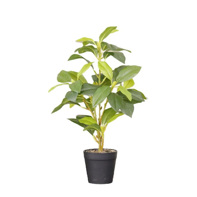 Artificial Croton Leaf Plant With Black Fiber Pot (Green) - 1.3 Feet media 4