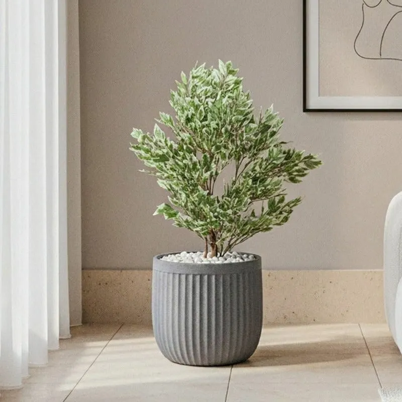 Grey ribbed planter holding a leafy plant in a contemporary room.