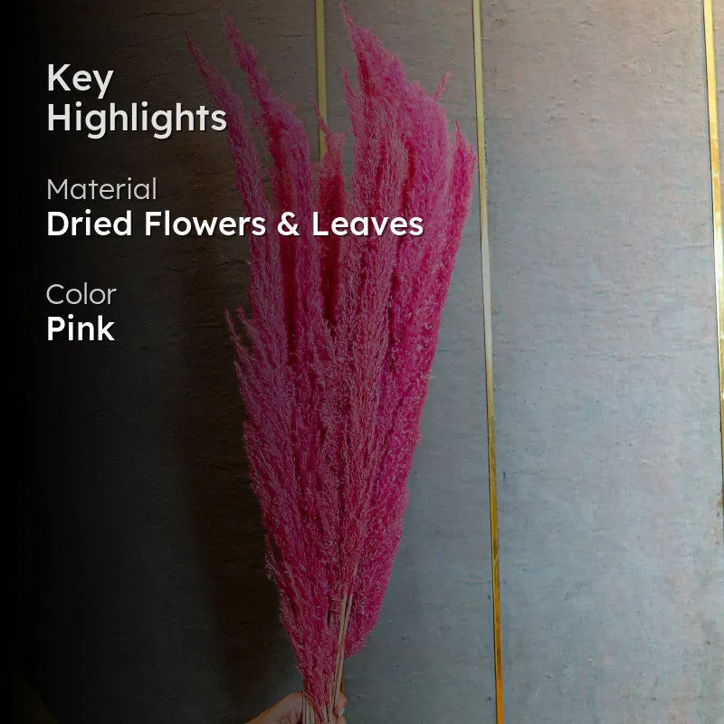 Naturally Dried Pampas Flower Bunch (Dark Pink) - Set Of Ten media 2
