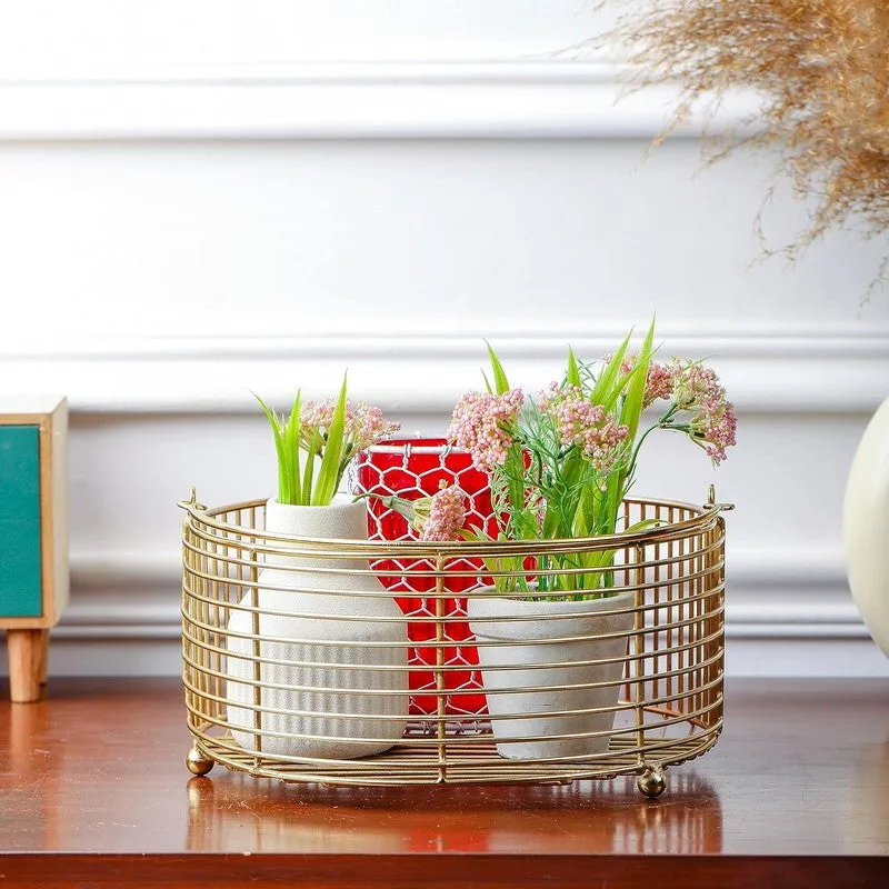 Seren Nest Fruit Basket media 6