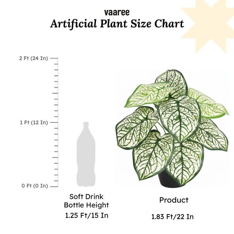 Calena Artificial Caladium With Black Plastic Pot - White media 7