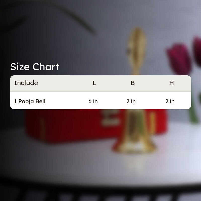 Feather Pooja Bell media 7