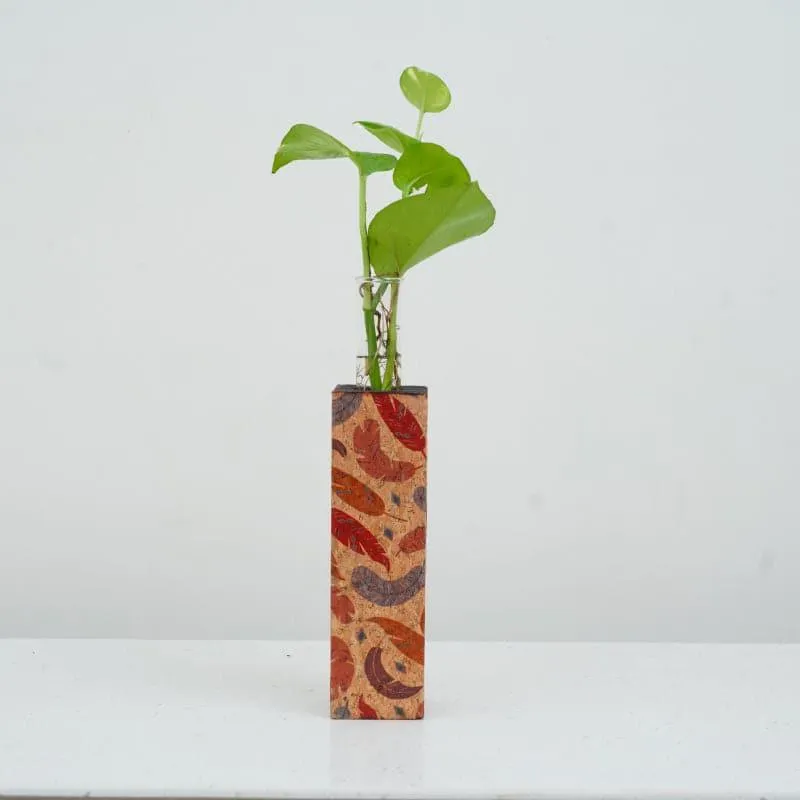 Feathery Cork Testube Planter media 1