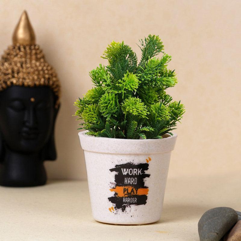 Work Hard White Planter media 3
