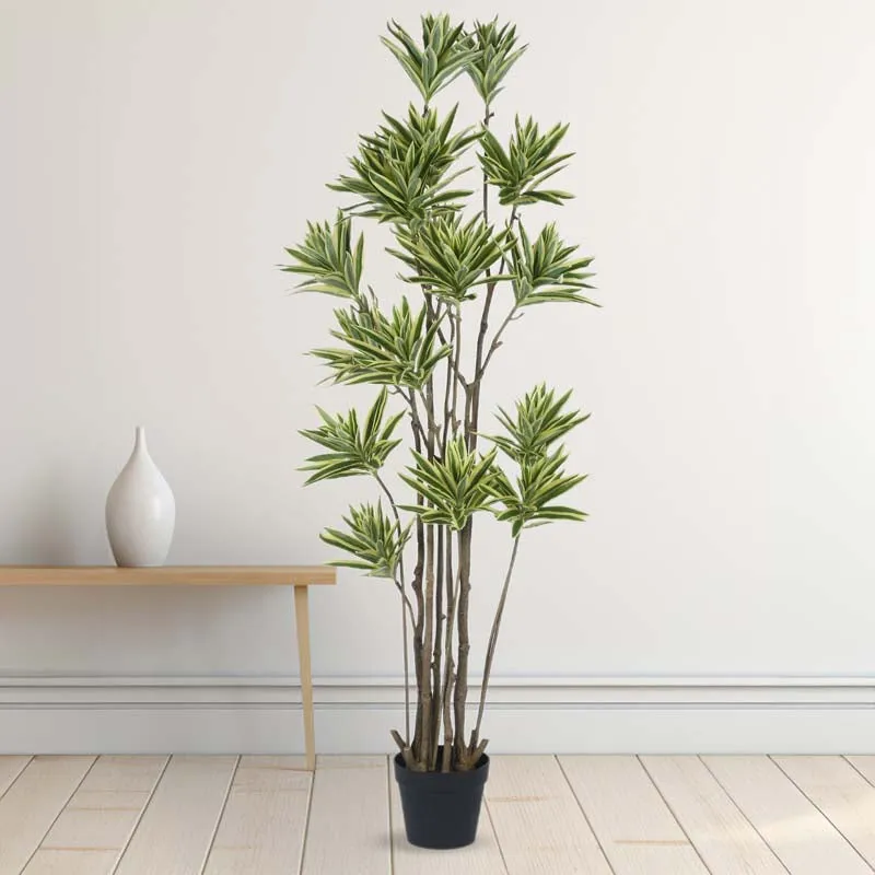 Faux Lush Dracaena Reflexa Plant With Black Plastic Pot - 5.2 Feet media 3