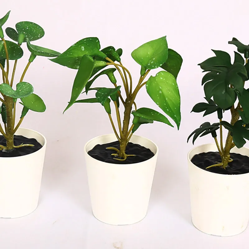 Verdanta II Artificial Tabletop Plant - Set Of Three media 4