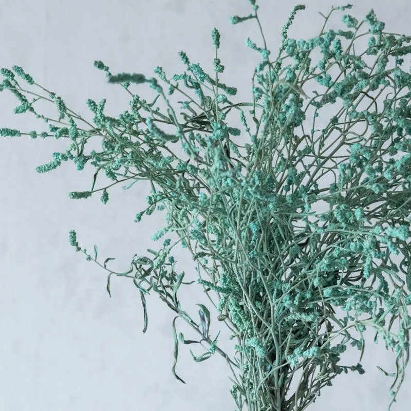Ariel Dried Statice Flower Bunch - Aqua media 5