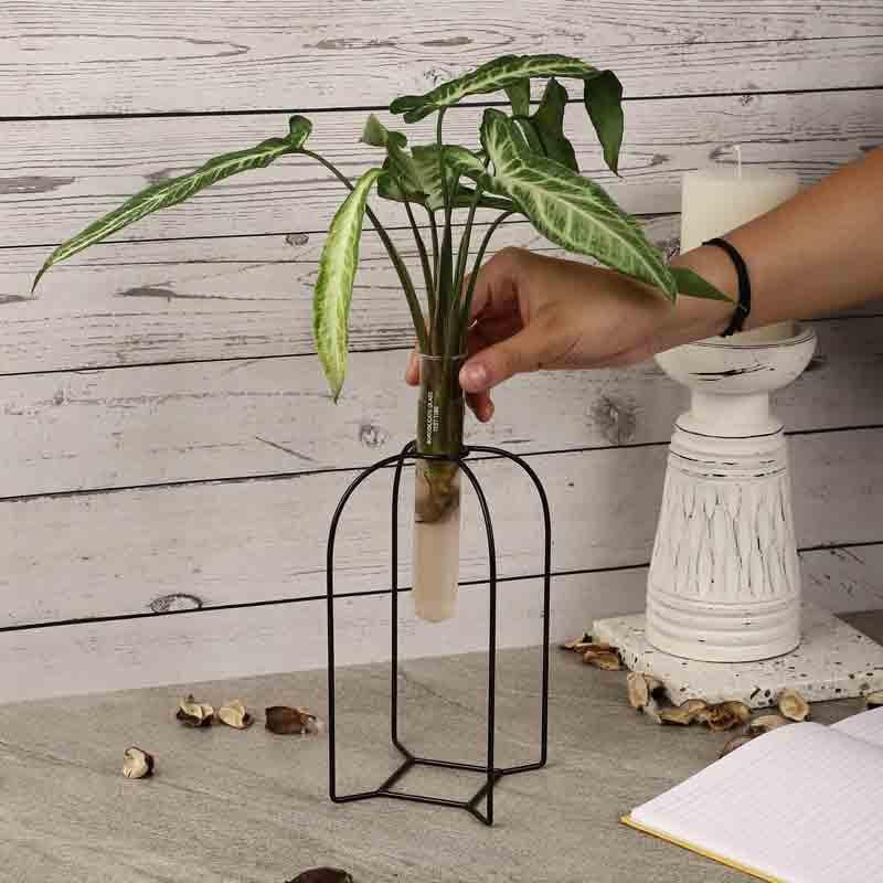 Zenith Testube Planter - Black media 3