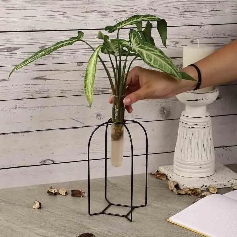 Zenith Testube Planter - Black media 3