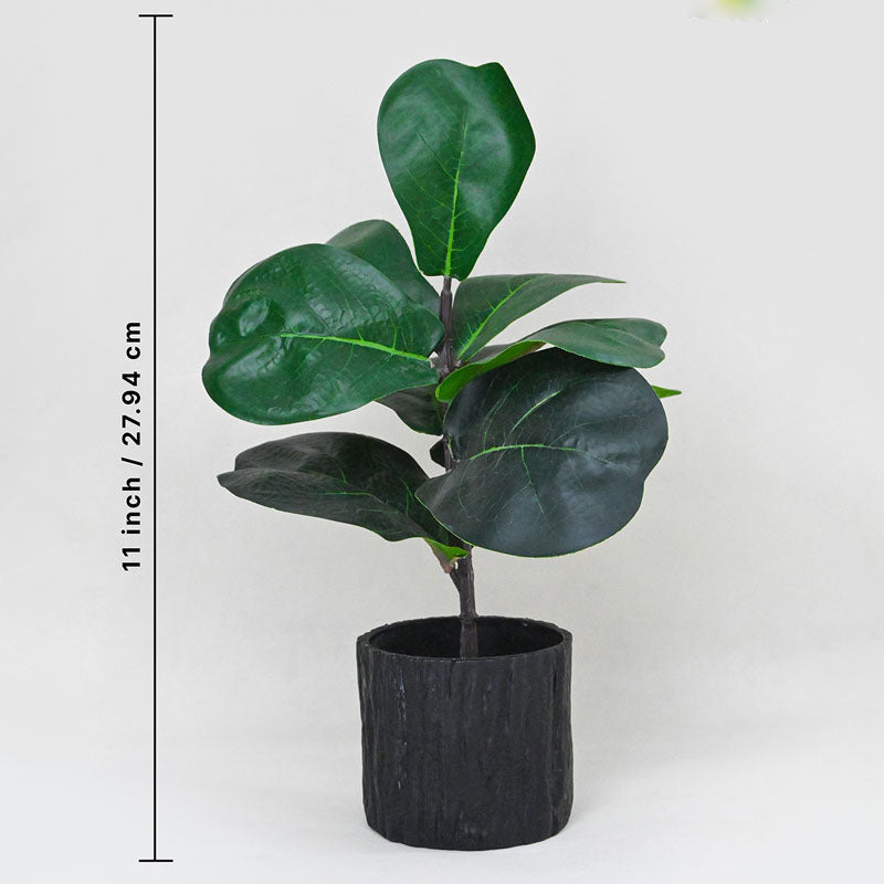 Faux Everlasting Fiddle Leaf Fig Plant With Black Plastic Pot - 28 cm media 5