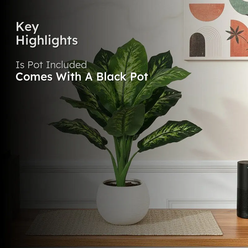 Faux Lush Dieffenbachia Plant With Black Plastic Pot - 3.0 Feet media 2