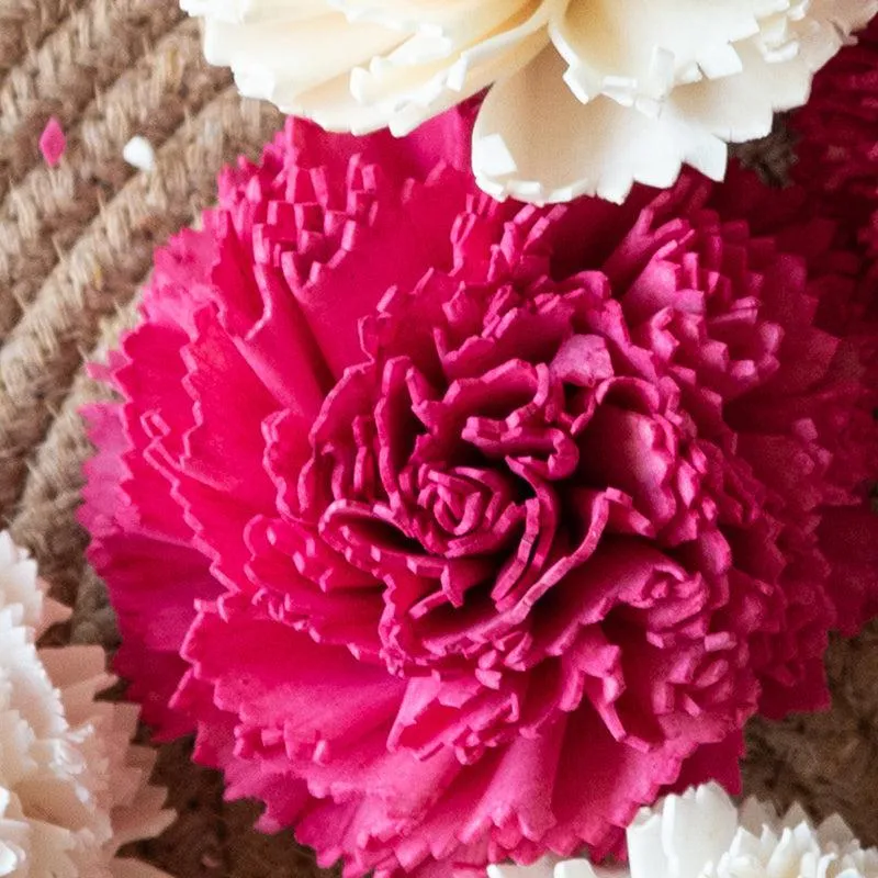 Berta Carnation Sola Flower (Pink & White) - Set Of Ten media 3