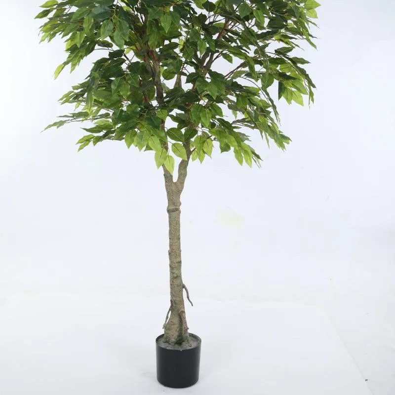 Faux Ficus Plant With Black Plastic Pot - 5.91 ft media 4