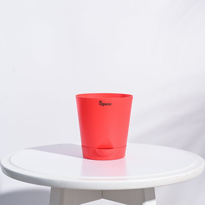 Ugaoo Bare Root Plastic Planter (Red) - Set Of Five media 3