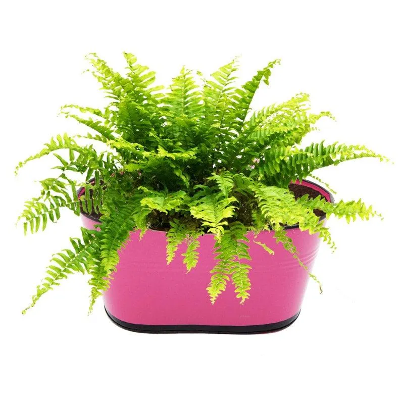Blossom Bud Planter (Pink) - Set Of Six media 3