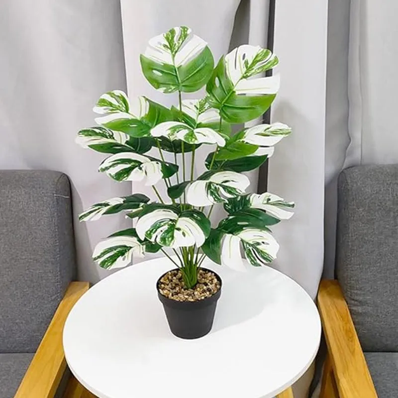 Faux Monstera Variegata Plant With Black Plastic Pot - 2.1 Feet media 3