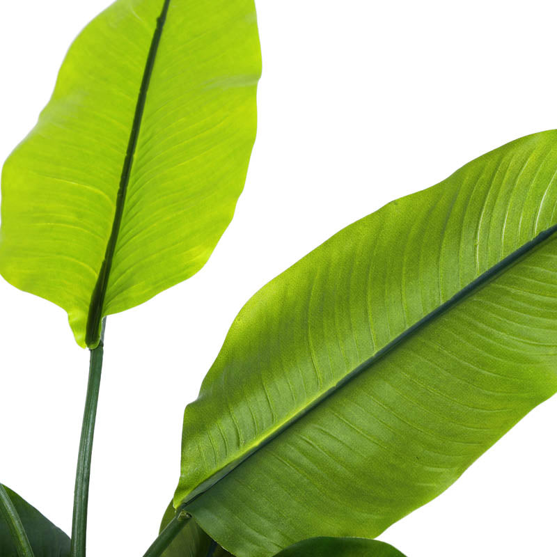 Artificial Banana Plant With Black Plastic Pot - 1 Feet media 4