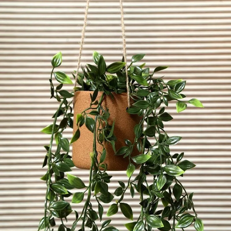 Rustic Charm Hanging Planter media 3