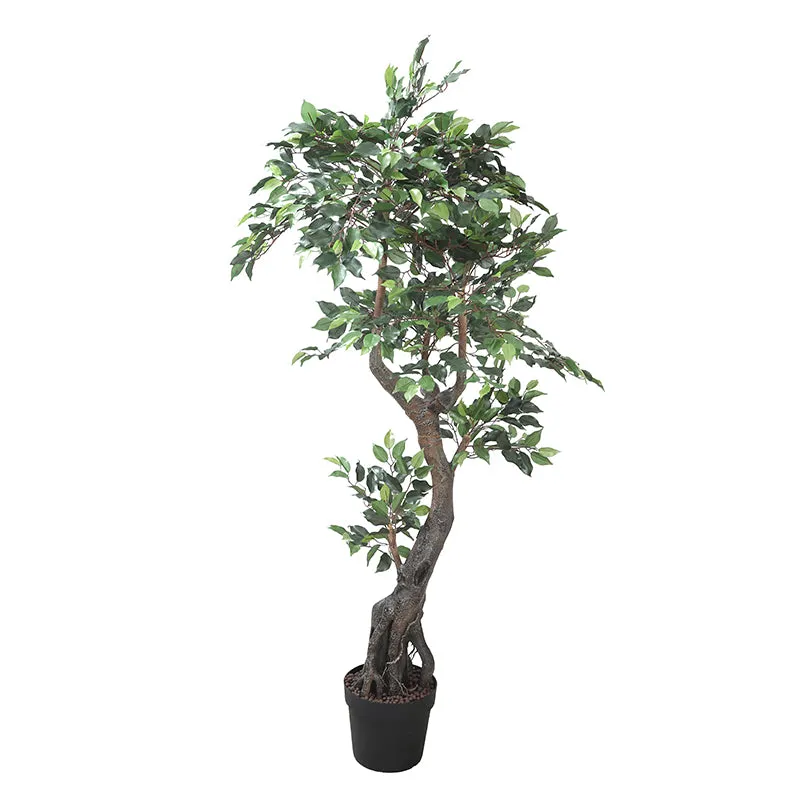 Urban Leaf Artificial Ficus With Black Plastic Pot- 6.5 Feet media 5
