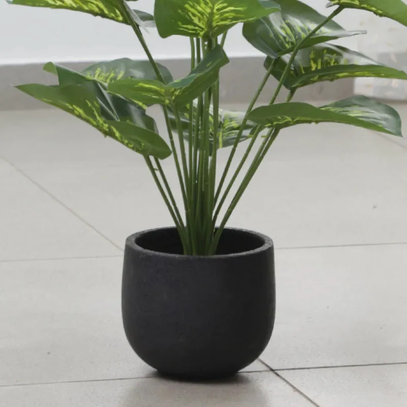 Faux Tropical Dieffenbachia Silk Plant With Black Plastic Pot - 2.13 ft media 5