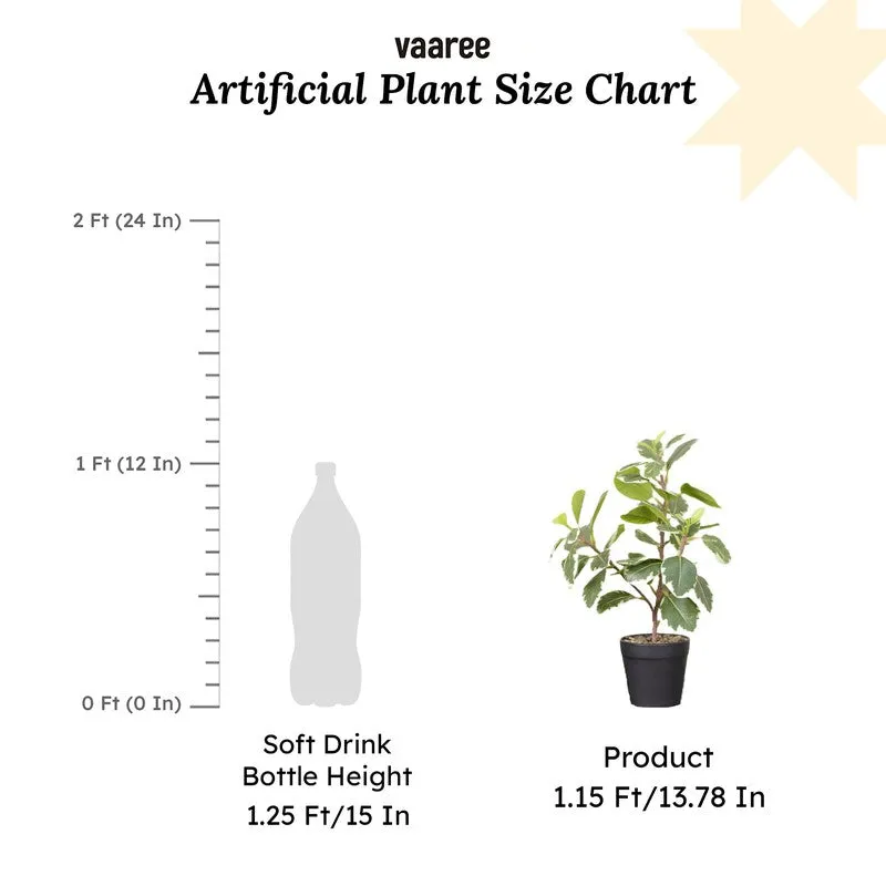 Artificial Green Quercus Leaf Small Plant With Black Fiber Pot - 1 Feet media 7
