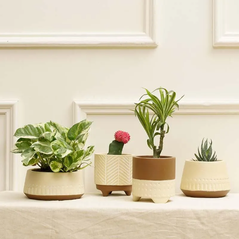 Terazzo Terracotta Planters - Set Of Four media 1